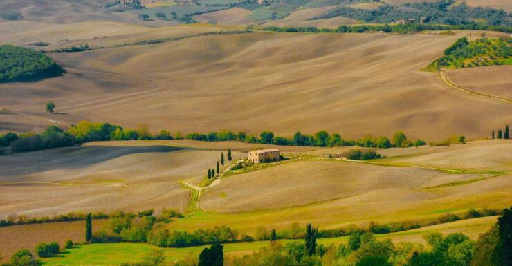 Montepulciano: Wine Tasting & Lunch in a Typical Winery - Activity Details