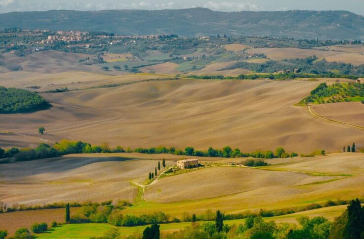 Montepulciano: Wine Tasting & Lunch in a Typical Winery - Wine Tasting Experience