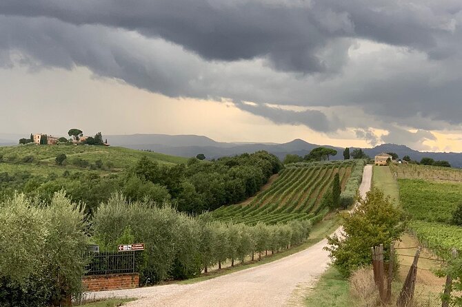 Montepulciano: Wine Tour and Tasting - Secure Your Spot Today!