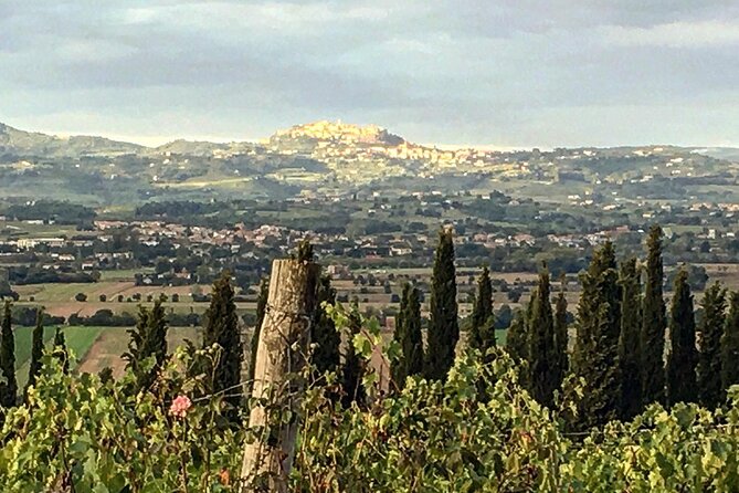 Montepulciano: Wine Tour and Tasting - Frequently Asked Questions