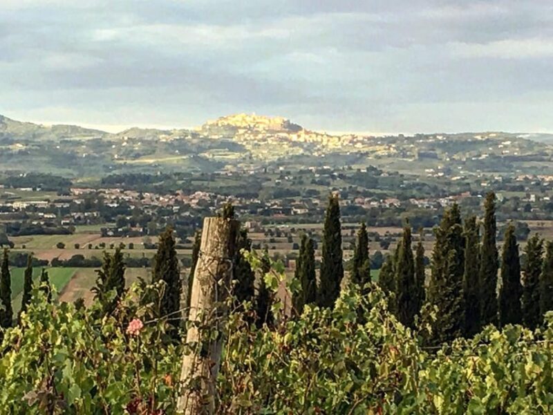 Montepulciano: Wine Tour and tasting - An Authentic Slice of Tuscany at Montepulciano