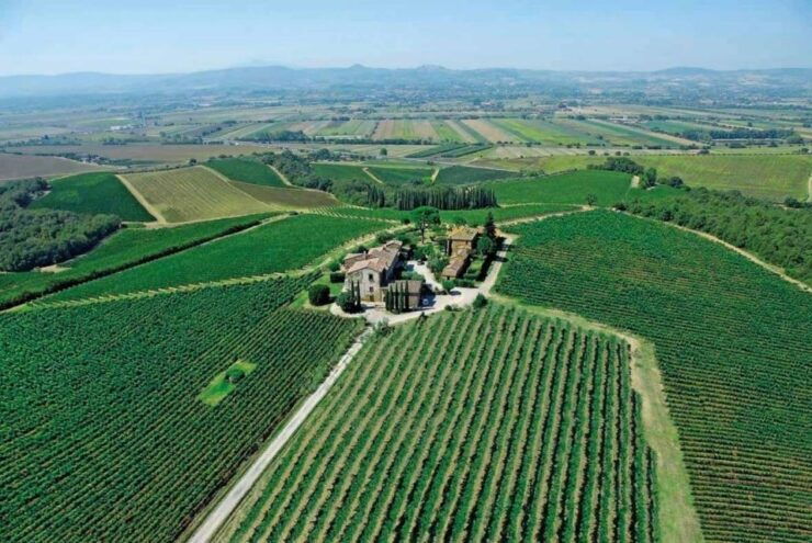Montepulciano: Wine Tour and Tasting - Good To Know