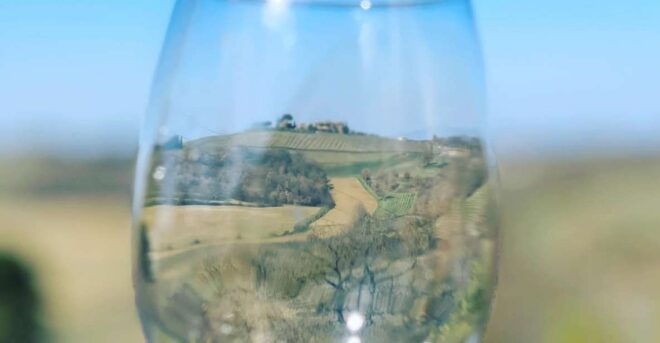 Montepulciano: Wine Tour and Tasting - Tour Highlights and Activity Description