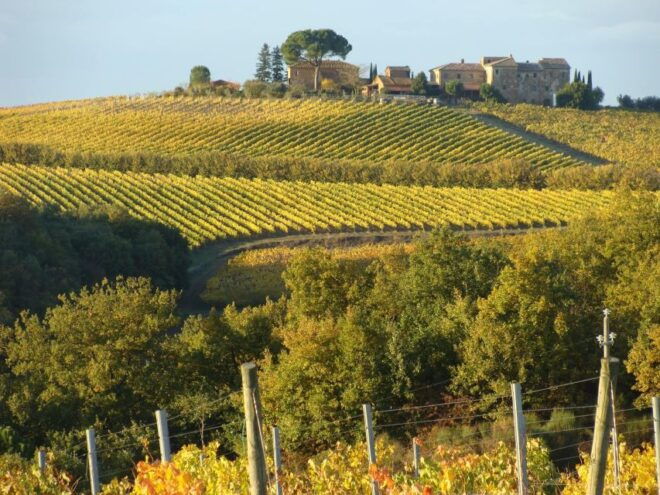 Montepulciano: Wine Tour and Tasting - Frequently Asked Questions