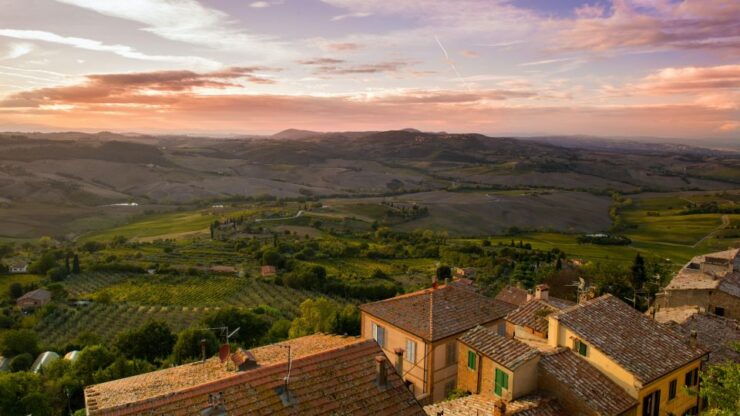 Montepulciano: Winery Tour and Tasting - Experience Highlights