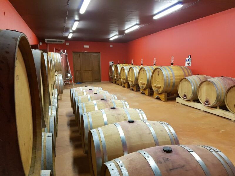 Montepulciano: Winery Tour, Tasting, and Vineyard Picnic - Good To Know