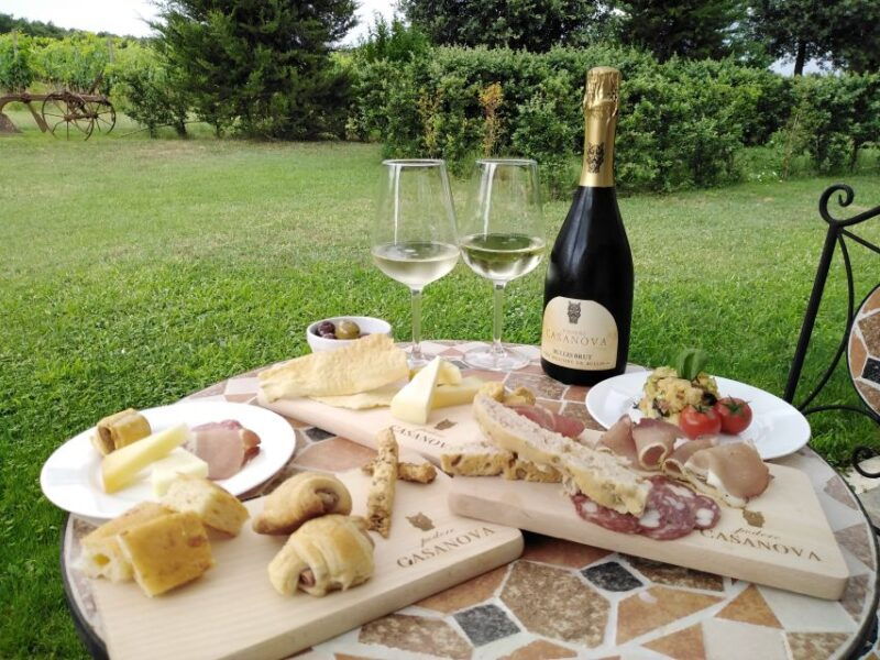 Montepulciano: Winery Tour, Tasting, and Vineyard Picnic - Itinerary Highlights