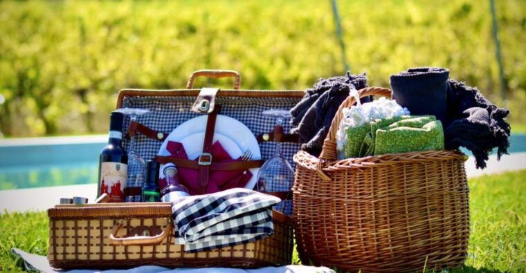 Montepulciano: Winery Tour, Tasting, and Vineyard Picnic - Wine Tasting Experience