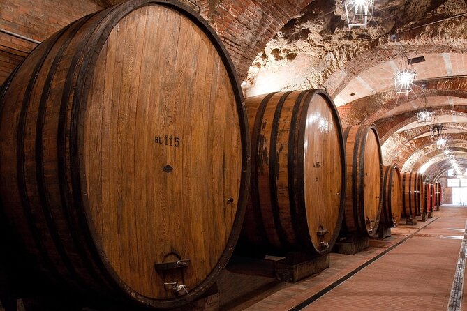 Montepulciano: Winery Tour & Tasting Experience - Tour Highlights, Expert Guides, and Additional Inclusions