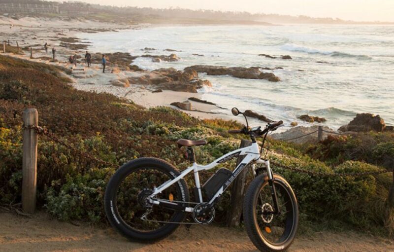 Monterey: 17-Mile Drive Guided E-Bike Tour - Exploring the Itinerary and Highlights