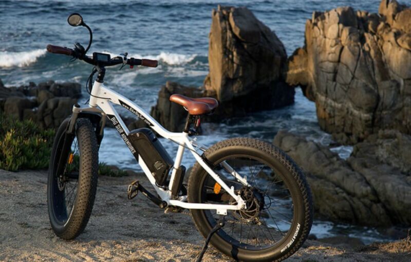 Monterey: 17-Mile Drive Guided E-Bike Tour - The Sum Up