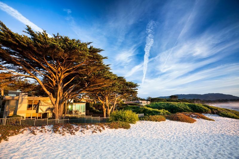 Monterey and Carmel Day Tour from San Francisco - The guide, the bus, and the real value