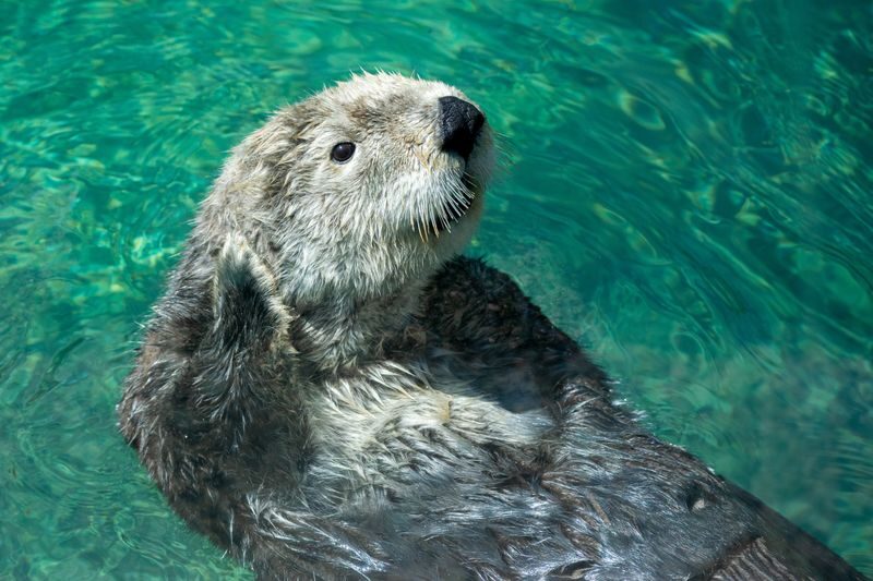 Monterey and Carmel Day Tour from San Francisco - Booking details worth checking
