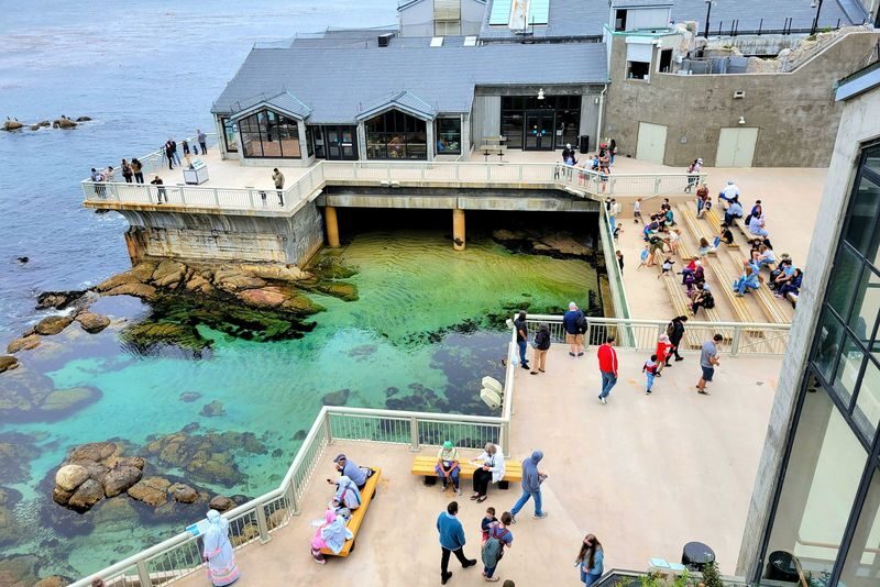Monterey and Carmel Day Tour from San Francisco - Should you book it?