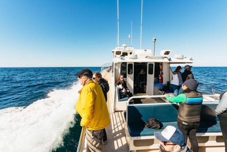 Monterey Bay: Whale Watching Tour - Tour Duration and Inclusions