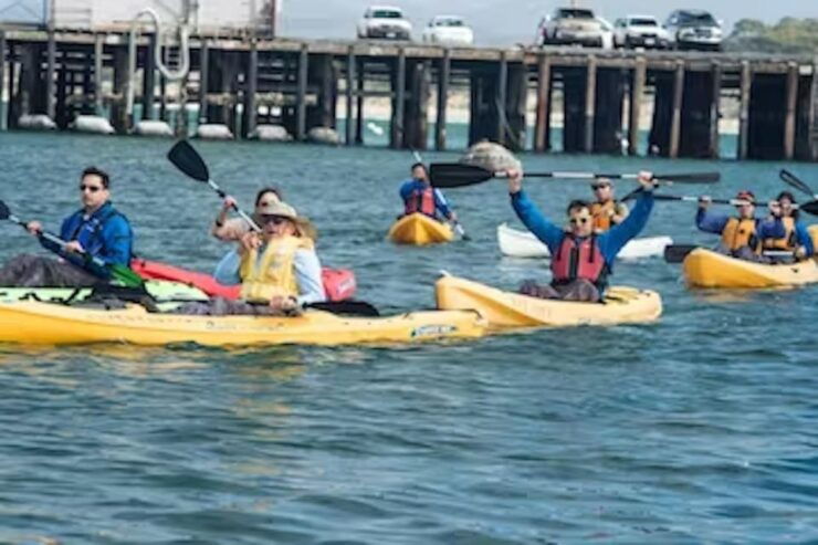 Monterey: Cannery Row Kayak Tour - Activity Details
