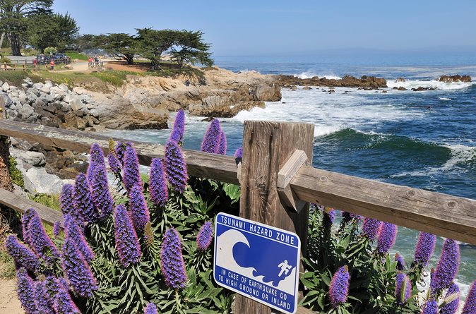 Monterey, Carmel and 17-Mile Drive - Full Day Tour From San Francisco - Exploring 17-Mile Drive and Pebble Beach