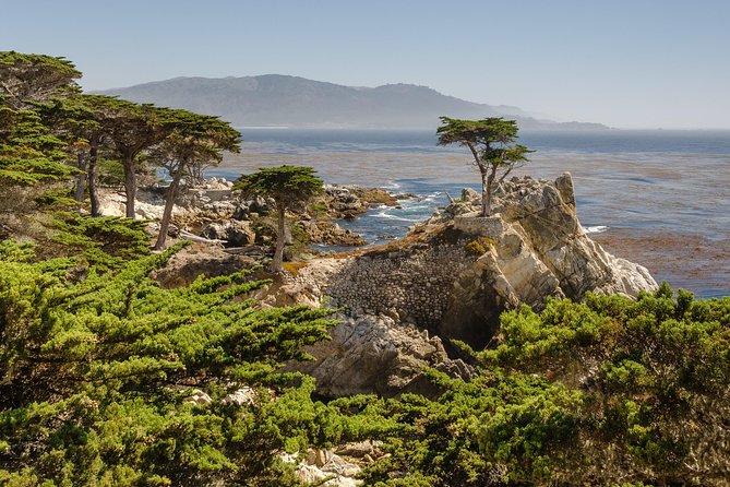 Monterey, Carmel and 17-Mile Drive - Full Day Tour From San Francisco - Positive Experiences and Highlights