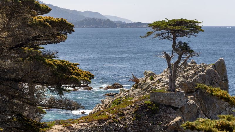 Monterey, Carmel and the 17-Mile Drive Day Tour from San Francisco - An hour in Carmel-by-the-Sea