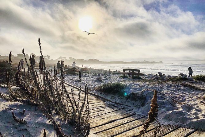 Monterey, Carmel & Pacific Coast Explorer From San Francisco - Common Questions