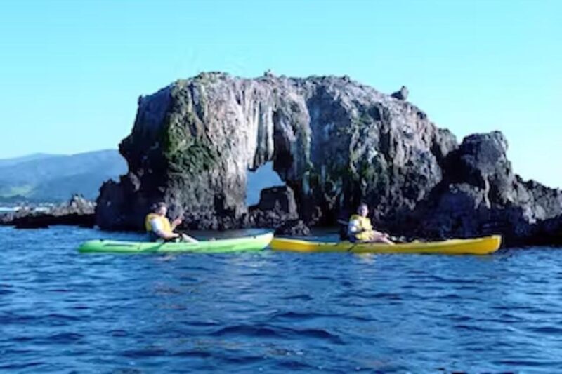 Monterey: Pebble Beach Kayak Tour - Good To Know
