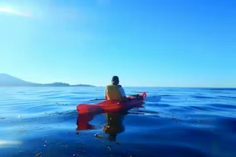 Monterey: Pebble Beach Kayak Tour - An In-Depth Look at the Pebble Beach Kayak Tour