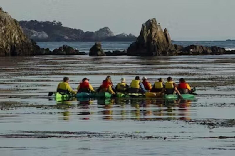 Monterey: Pebble Beach Kayak Tour - Why Choose This Tour?
