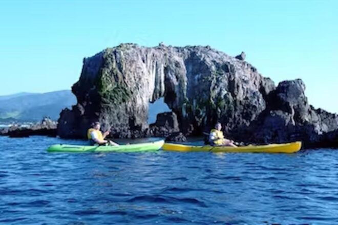 Monterey: Pebble Beach Kayak Tour - Group Size and Language