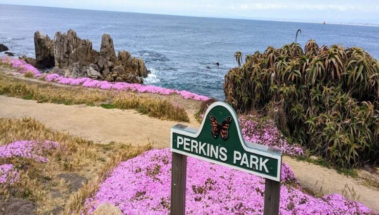 Monterey Peninsula Drive: A Self-Guided Audio Tour - Tour Details
