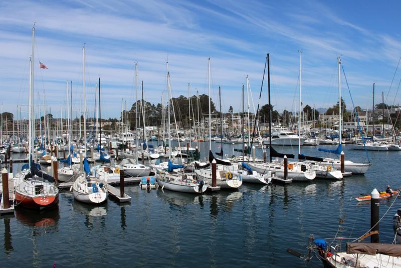Monterey Peninsula Full-Day Small Group Tour - Cannery Row: Monterey’s waterfront at your own pace