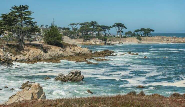 Monterey Peninsula Sightseeing Tour Along the 17 Mile Drive - Tour Experience