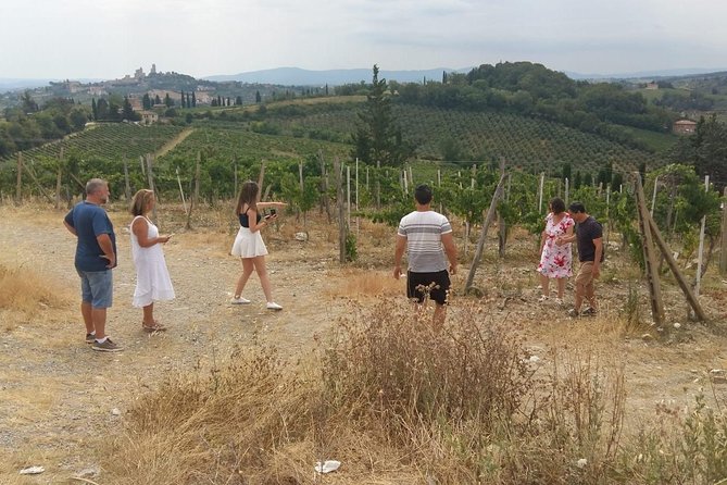 Monteriggioni San Gimignano and Castellina in Chianti Full Day From Rome - Pricing and Reservations