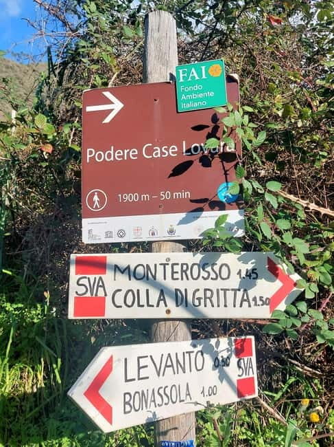 Monterosso Hiking Tour: Discover the Best Trails of 5 Terre - Monterosso Hiking Tour: Discover the Best Trails of 5 Terre