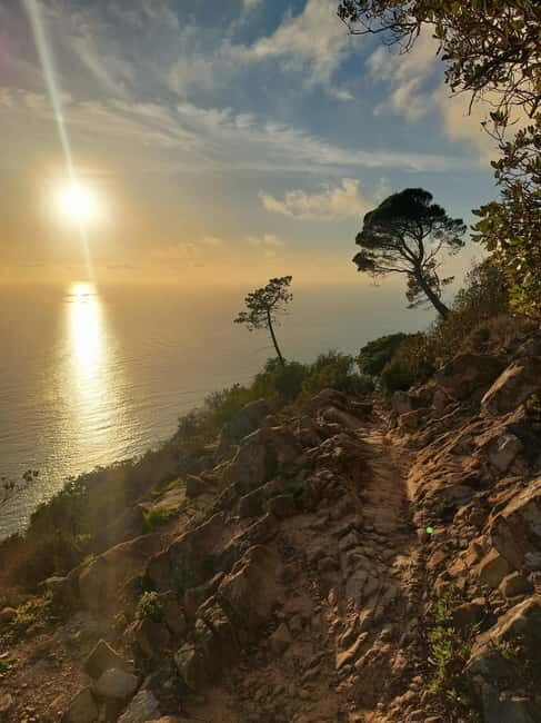 Monterosso Hiking Tour: Discover the Best Trails of 5 Terre - Why This Tour Might Be Perfect for You