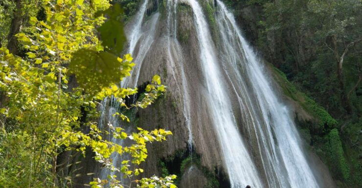 Monterre, NL: Ibo Family Adventure in Horse Cola - Ticket Information