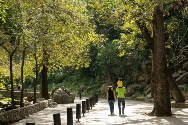 Monterrey: Cola De Caballo Park All Inclusive - Safety and Requirements
