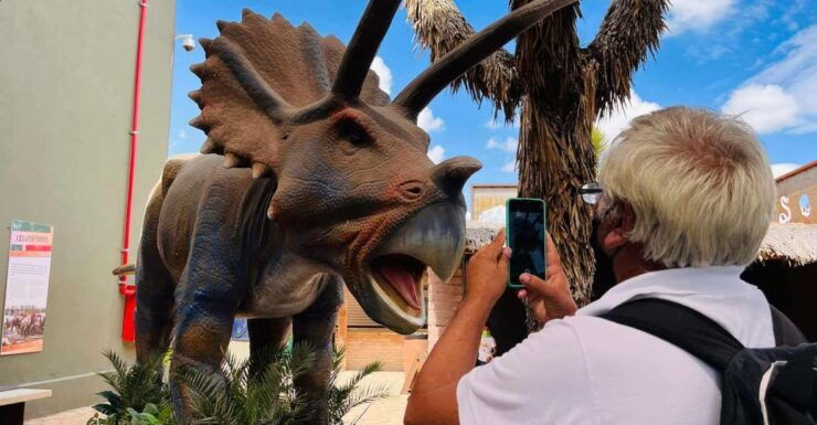 Monterrey: Desert Museum Tour - Booking and Reservation Details