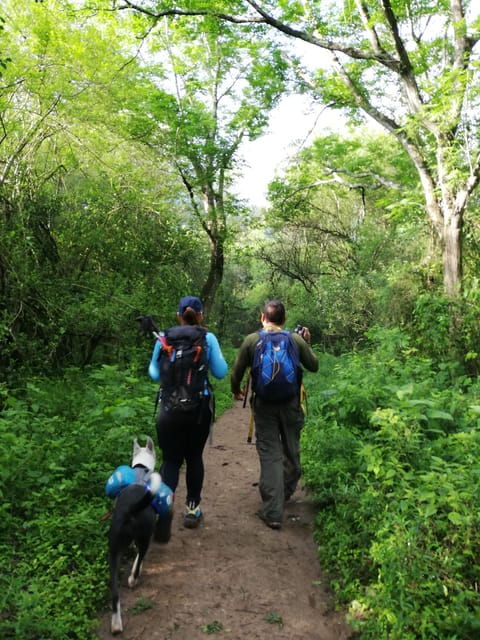 Monterrey: Enjoy a Refreshing Water Crossing Cerro Agujerado - Accessibility and Restrictions
