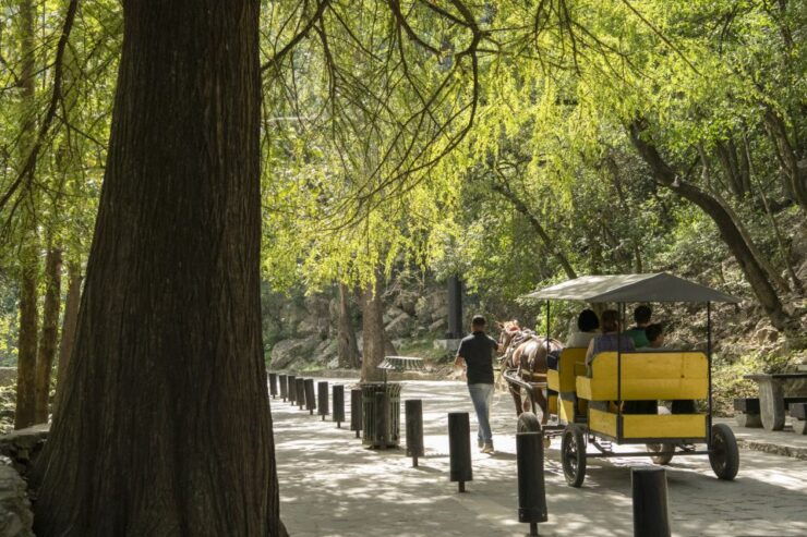 Monterrey, NL: Ibo Total Adrenaline in Horse Cola - Inclusions