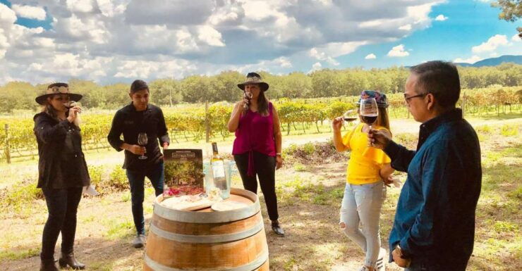 Monterrey: Parras De La Fuente Exploration Tour - Booking Details