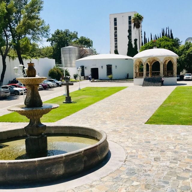 Monterrey: Parras De La Fuente Exploration Tour - Experience Highlights