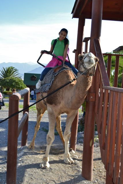 Monterrey: Zoological Adventure at Xenpal - Activity Details