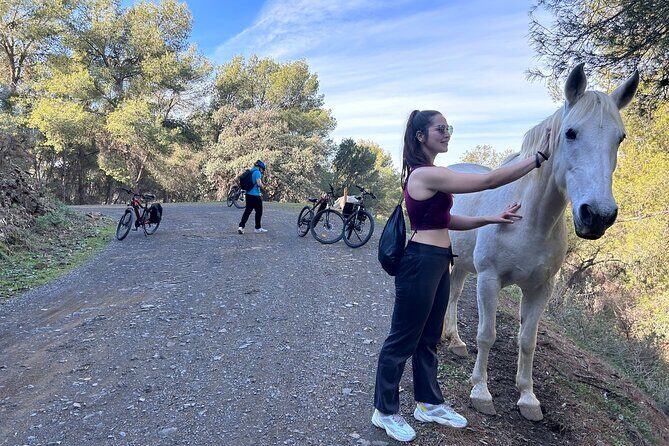 Montes of Málaga E-bike Tour - FAQ