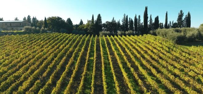 Montespertoli: Poggio Capponi Farm Chianti Wine Tour - Customer Reviews