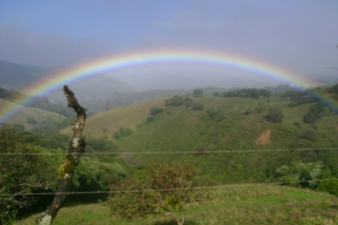 Monteverde Cloud Forest, Sloth, Hanging Bridges, Butterflies Tour - Itinerary Details