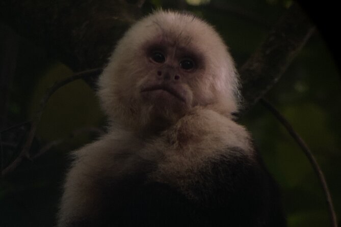 Monteverde Cloud Forest Tour - Additional Information and Cancellation Policy