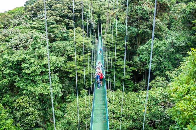 Monteverde Sky Tram & Hanging Bridges Cloud Forest Tour From San Jose - Tour Overview and Logistics