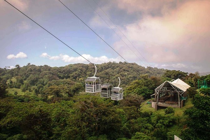 Monteverde Sky Tram & Hanging Bridges Cloud Forest Tour From San Jose - Traveler Photos and Reviews