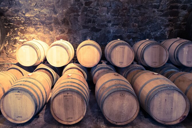 Montevideo 6-Hour Wine and Culture Tour With Guide - Good To Know