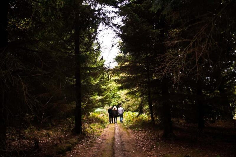 Monthermé: wild hike along the Meuse crests and its viewpoints - An In-Depth Look at the Monthermé Meuse Crests Hike